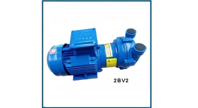 can-dien-tu-camry-sieu-mong-hoa-tiet-hoa-van-eb-9301-s109