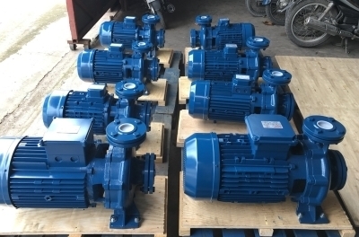 can-dien-tu-camry-sieu-mong-hoa-tiet-hoa-van-eb-9301-s109