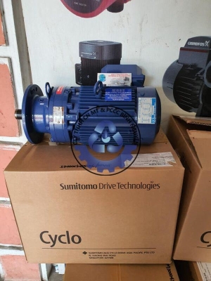 can-dien-tu-camry-sieu-mong-hoa-tiet-hoa-van-eb-9301-s109