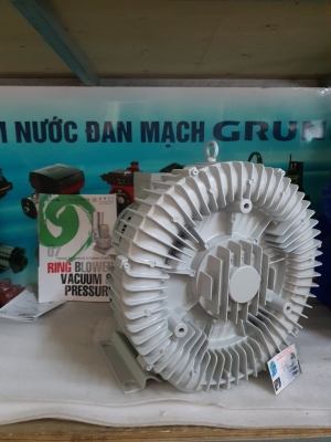 can-dien-tu-camry-sieu-mong-hoa-tiet-hoa-van-eb-9301-s109
