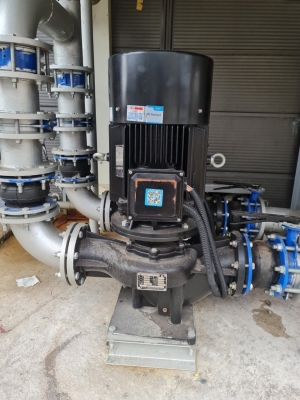 can-dien-tu-camry-sieu-mong-hoa-tiet-hoa-van-eb-9301-s109