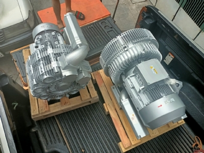 can-dien-tu-camry-sieu-mong-hoa-tiet-hoa-van-eb-9301-s109