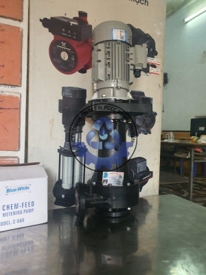 can-dien-tu-camry-sieu-mong-hoa-tiet-hoa-van-eb-9301-s109