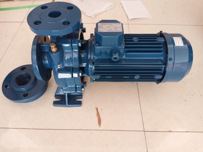 Máy bơm ly tâm trục ngang VERATTI CS50-250/15