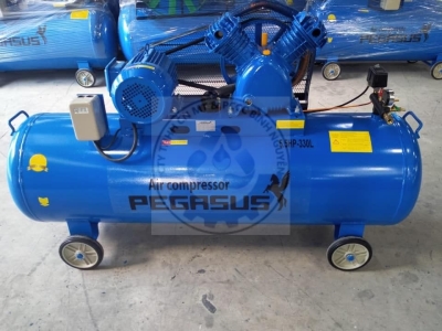 Máy nén khí dây đai PEGASUS TM-V-0.17/8-180L