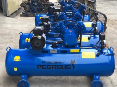 Máy nén khí dây đai PEGASUS TM-V-0.25/8-180L