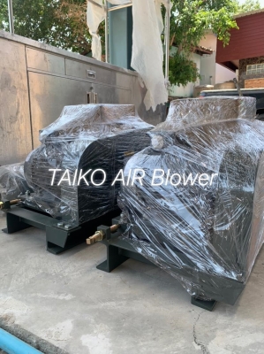 can-dien-tu-camry-sieu-mong-hoa-tiet-hoa-van-eb-9301-s109