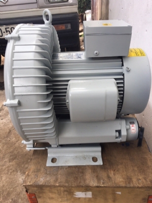 can-dien-tu-camry-sieu-mong-hoa-tiet-hoa-van-eb-9301-s109