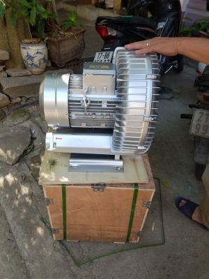 can-dien-tu-camry-sieu-mong-hoa-tiet-hoa-van-eb-9301-s109