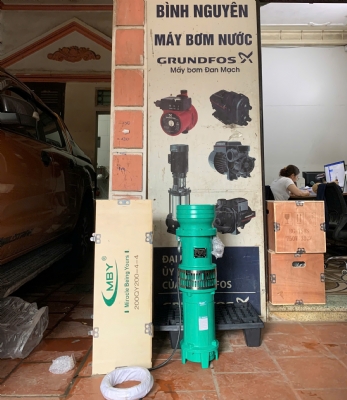 can-dien-tu-camry-sieu-mong-hoa-tiet-hoa-van-eb-9301-s109